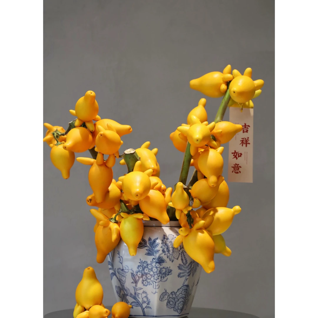 五代果黄金果家庭插花（金玉满堂，招财进宝）花期超长 云南基地直发