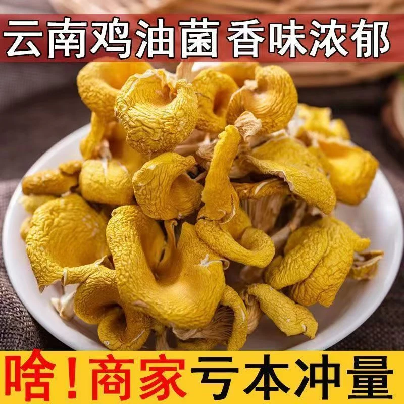 （净重无干燥剂）云南特产鸡油叶子菌菇干货鲜美营养丰富炒菜煲汤