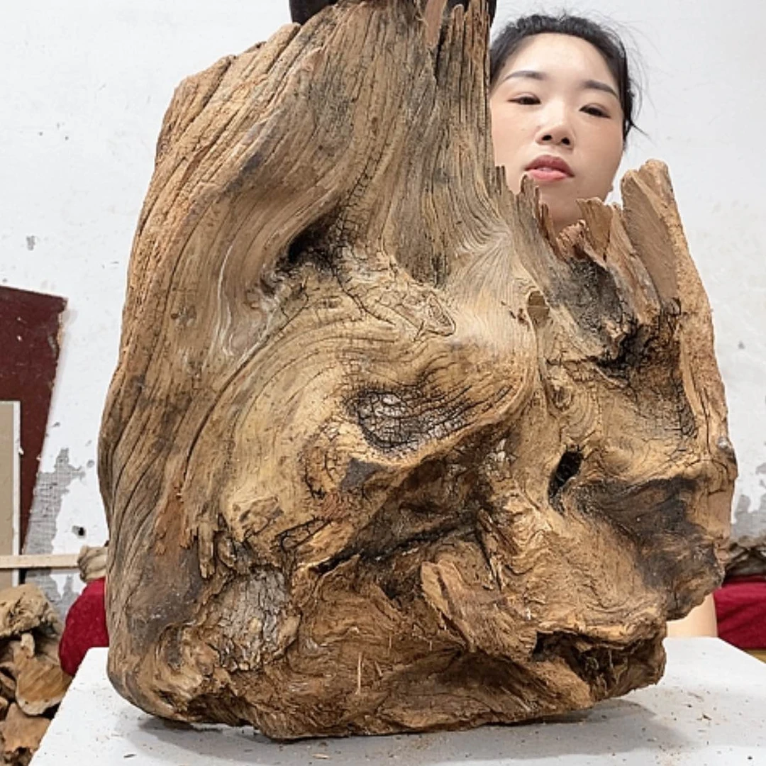 【闪购商品】柏木用****9我们都是好孩子