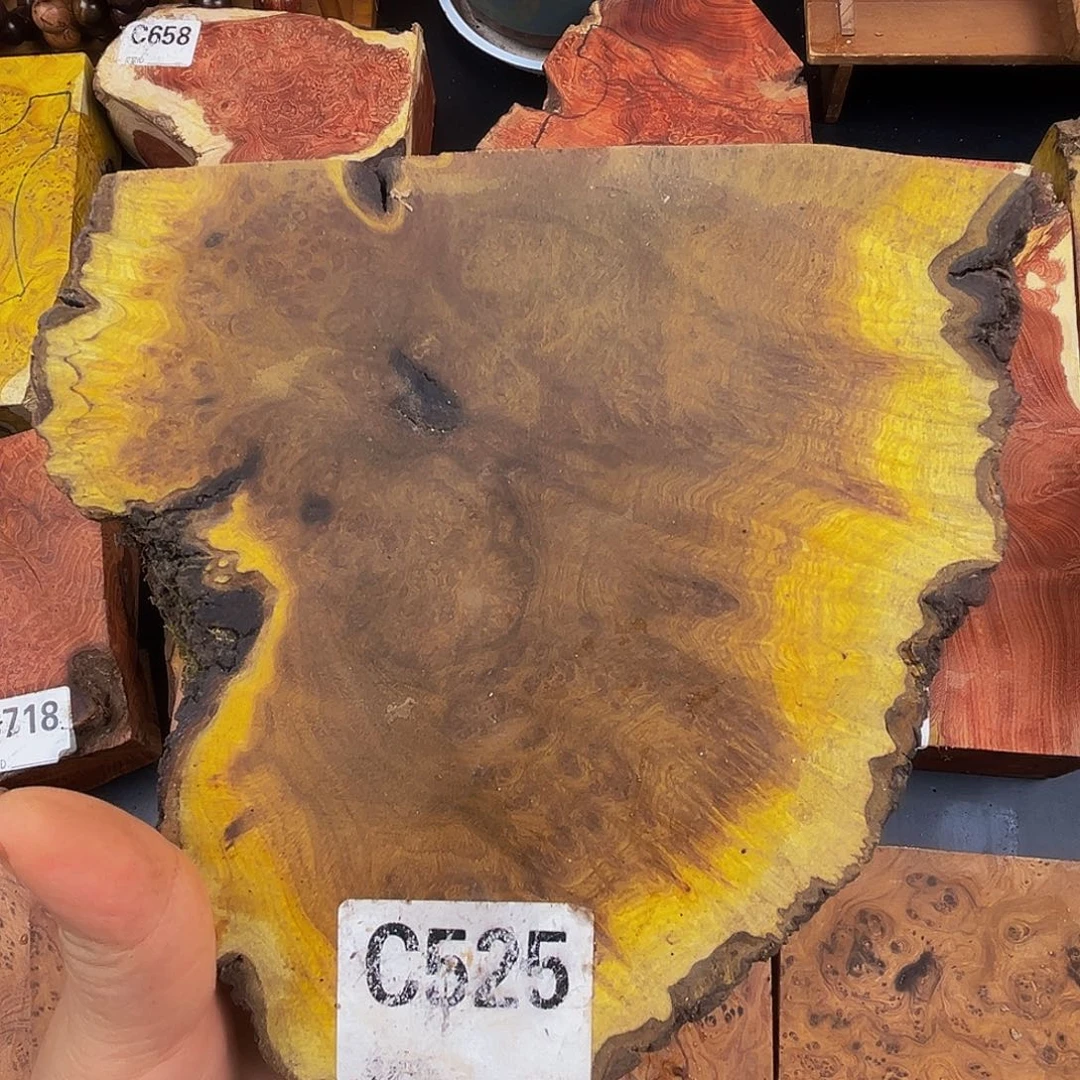 香榧木w****t绿皮刺云南麻利留疤