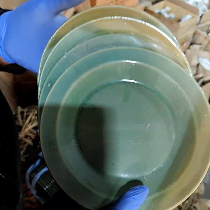 瓷片盘子碗茶壶啥都有