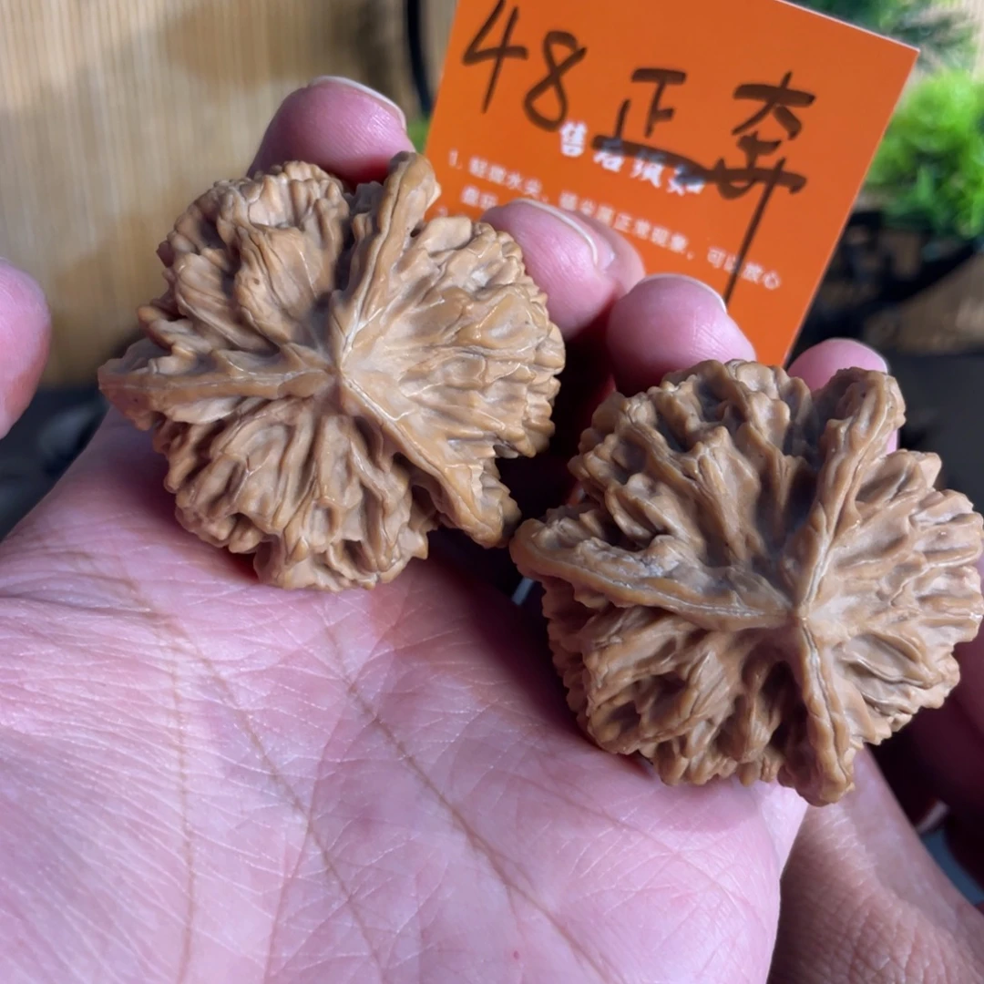 文玩核桃吊坠48秦岭三棱全品正奔