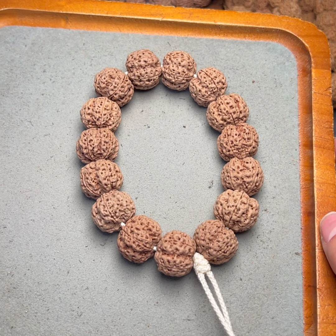 菩提24号金刚菩提针孔蜂窝20