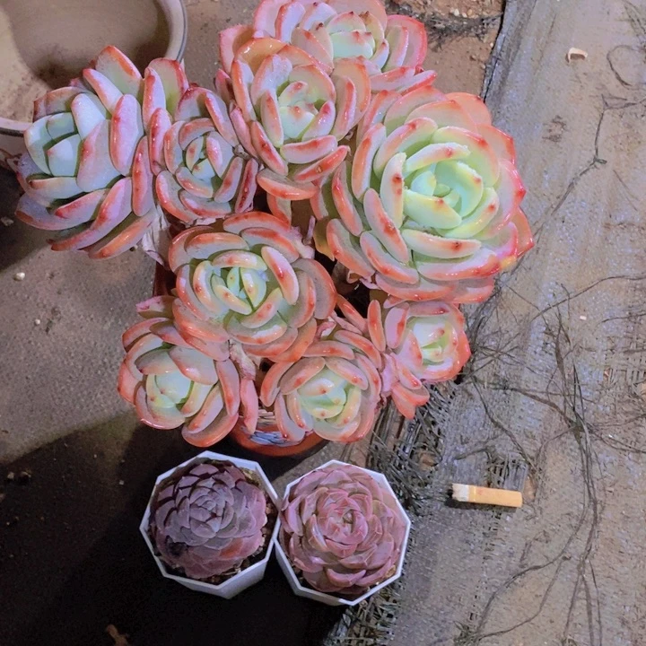 这么久不回来也没什么