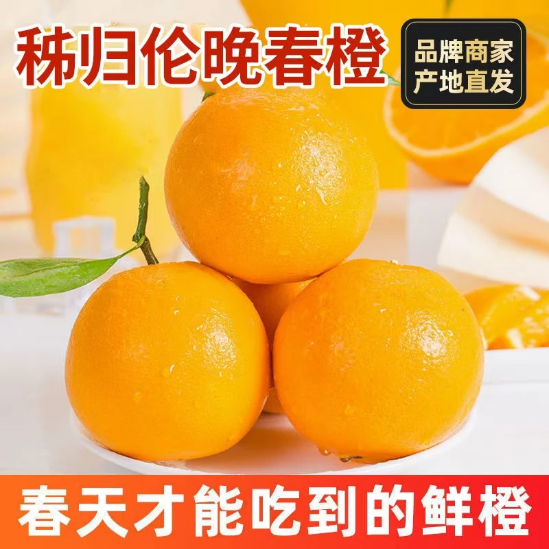 东方甄选【伦晚脐橙】宜昌三峡秭归脐橙新鲜多汁当季水果现采现摘