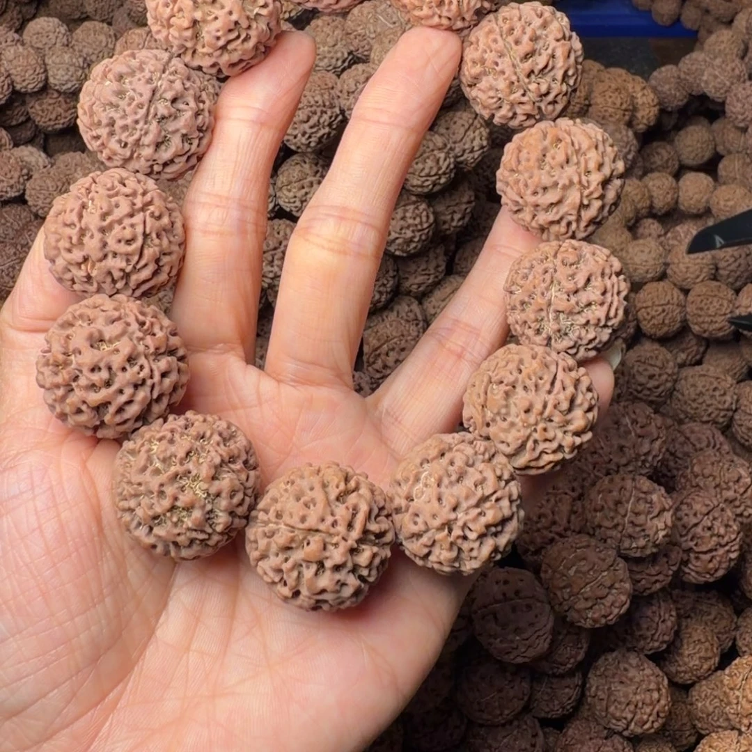 手串金刚菩提6瓣卡24尺，100号