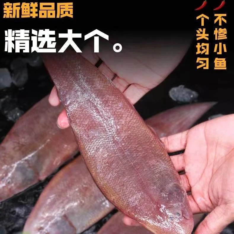 鳎目鱼 深海新鲜比目鱼 一条半斤左右 天津同城当天到家
