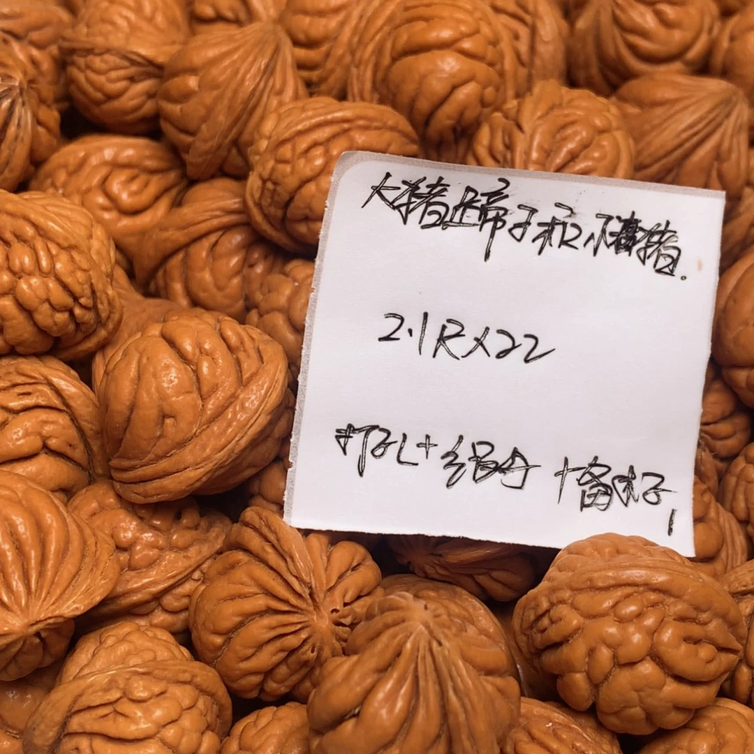 龙纹桃核霸王龙—