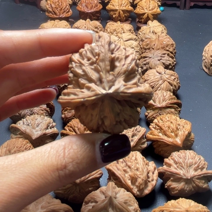 F*、白狮子丁字奔核桃哈哈哈哈哈