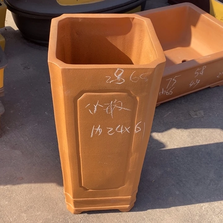 花盆紫砂只顾看手机