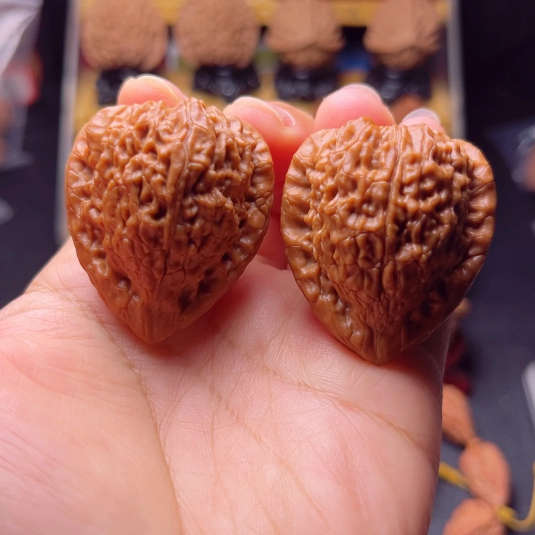 木质类原树蛇王一抹红