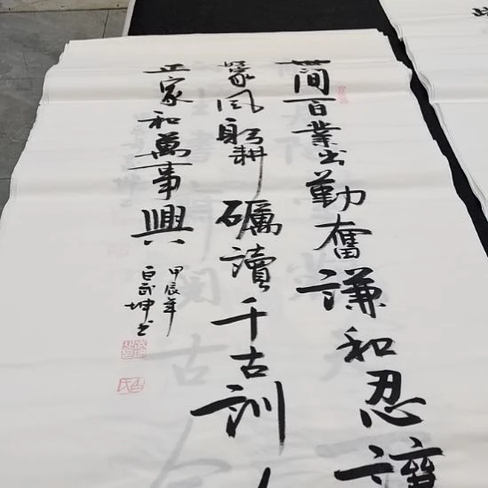翰墨白武坤老师作品一副