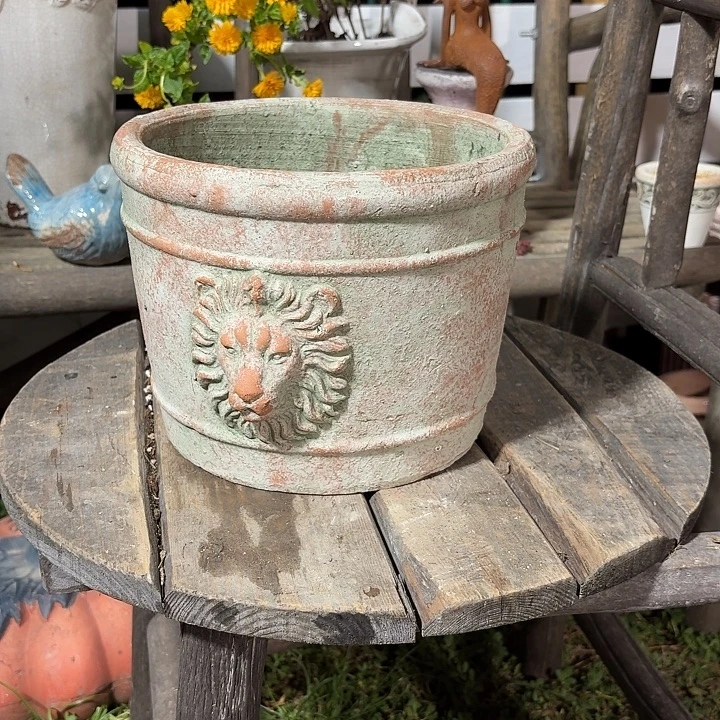 许纯的花房 狮子盆