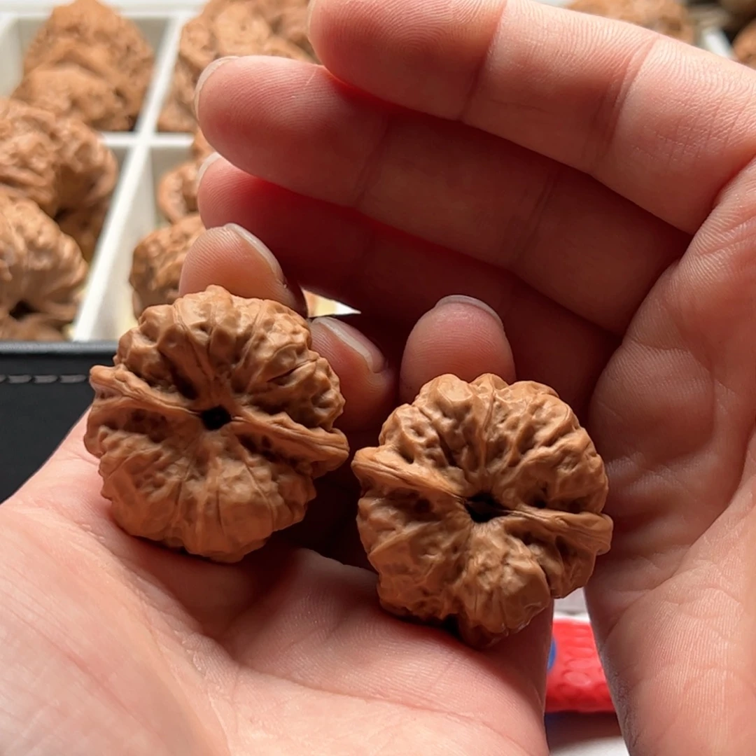 核桃把件延庆蛤蟆头36尺寸