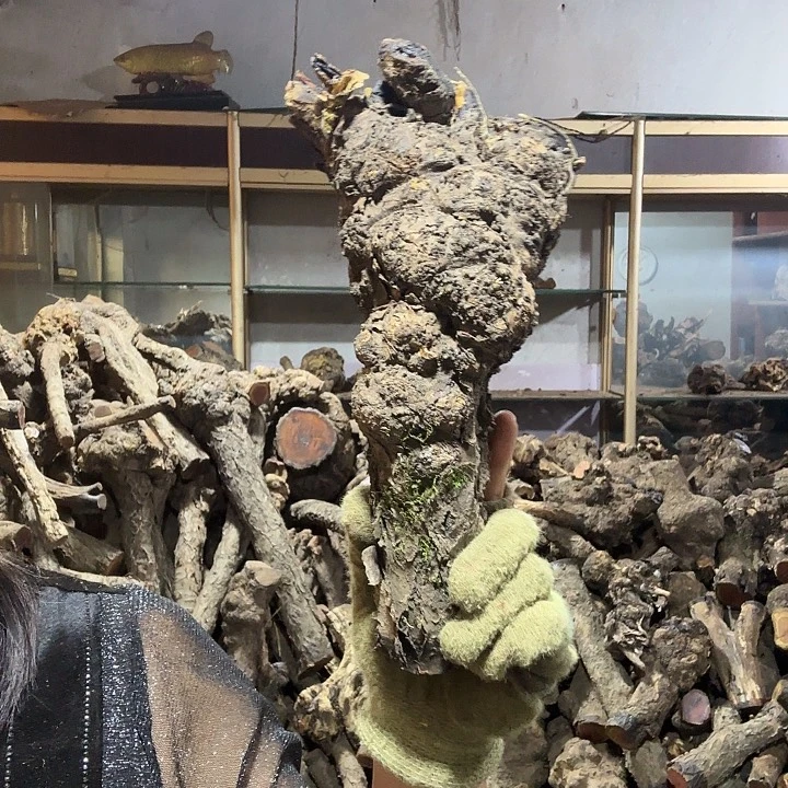 布***帘香榧木火琉璃的故事是一