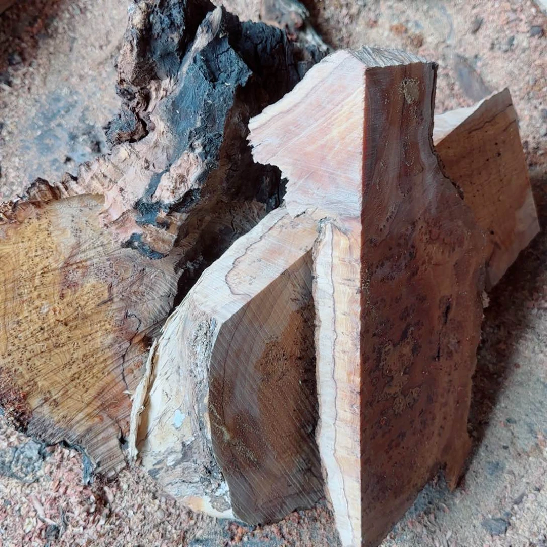 千**态鬼柳羊蹄甲石香木