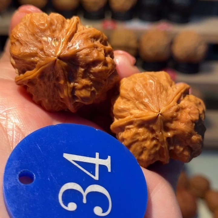 铁核桃百花三棱34尺寸