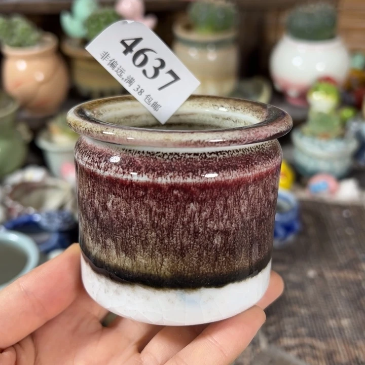 口5高6  活动价满30包邮