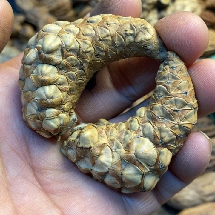 吊坠桃核娜姐真的77