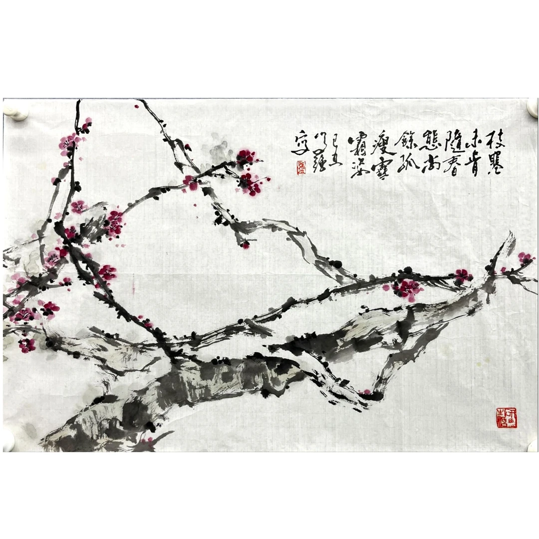 zp-张学强-46cm*70cm