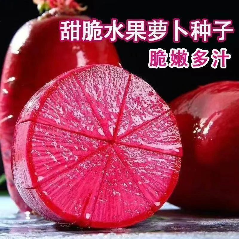 【凤梨萝卜种子】红心萝卜种籽四季秋播阳台盆栽农家蔬红皮秋季播