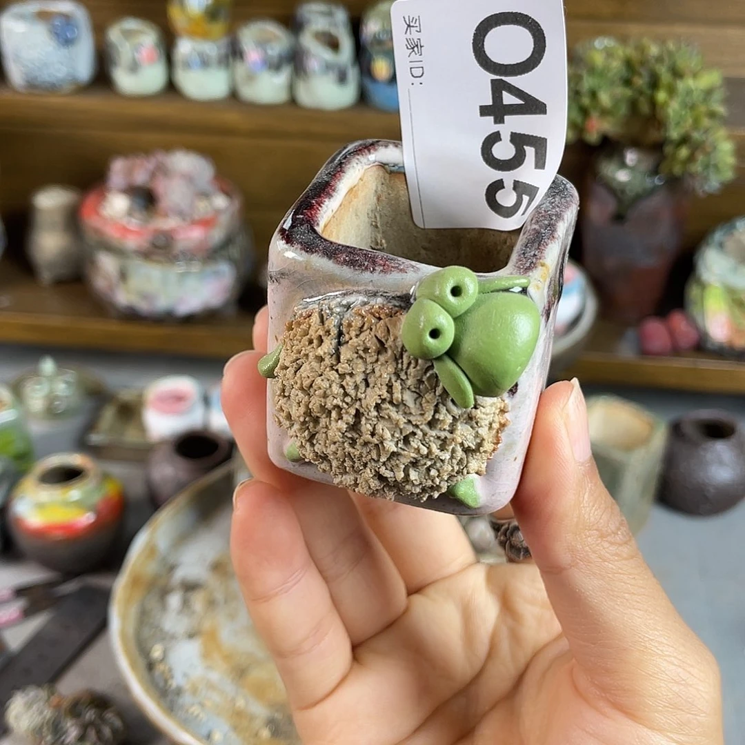 小白孤品 不含肉 内口 3.2百搭
