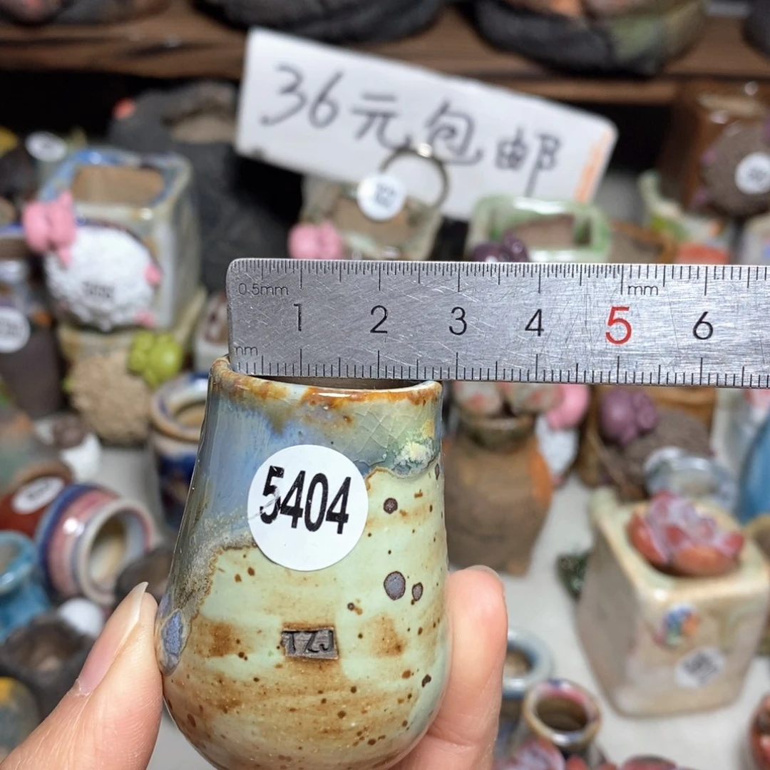 拍5送一个小礼物