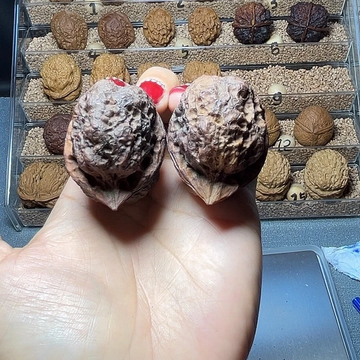 H***～把件文玩核桃40号尖嘴蟾44尺