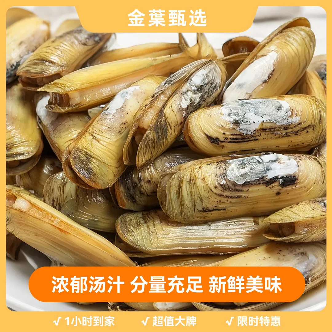 【金叶甄选】鲜活中号海蛏子 一斤19.9