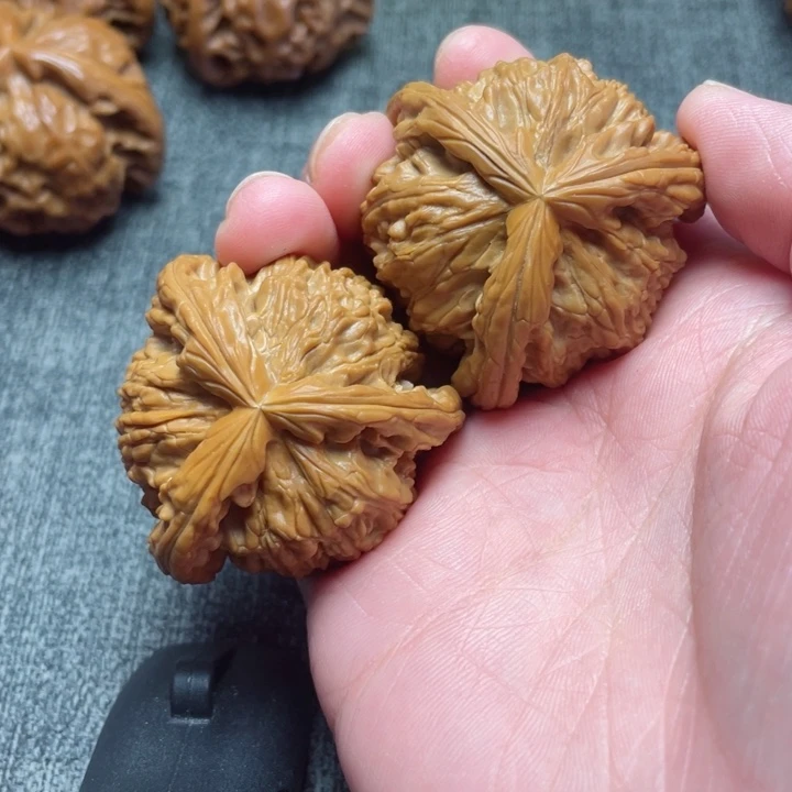 工艺三棱白狮子三棱