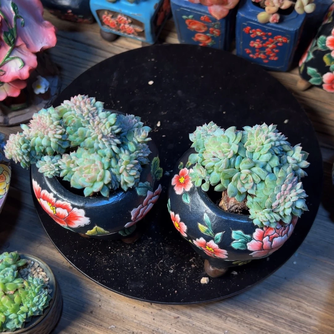 冬***冬新年快乐 新年快乐