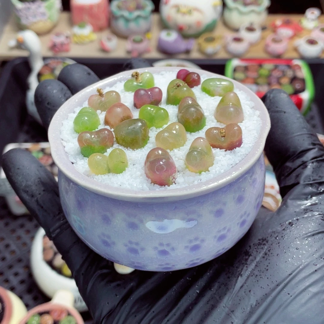 夜间零下地区拍保温箱w3144