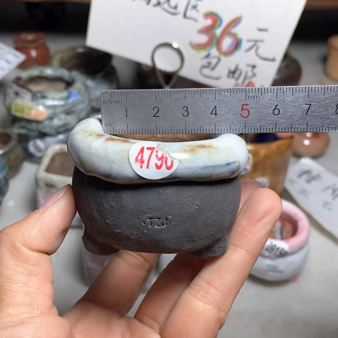 花盆双十二活动不退不换的原28元一个