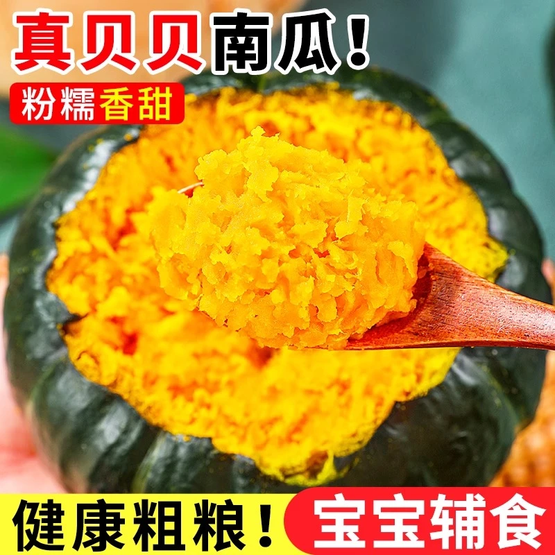 【香甜粉面】板栗味贝贝南瓜带箱5斤 单果300g+ 约3-7个 水瓜包赔