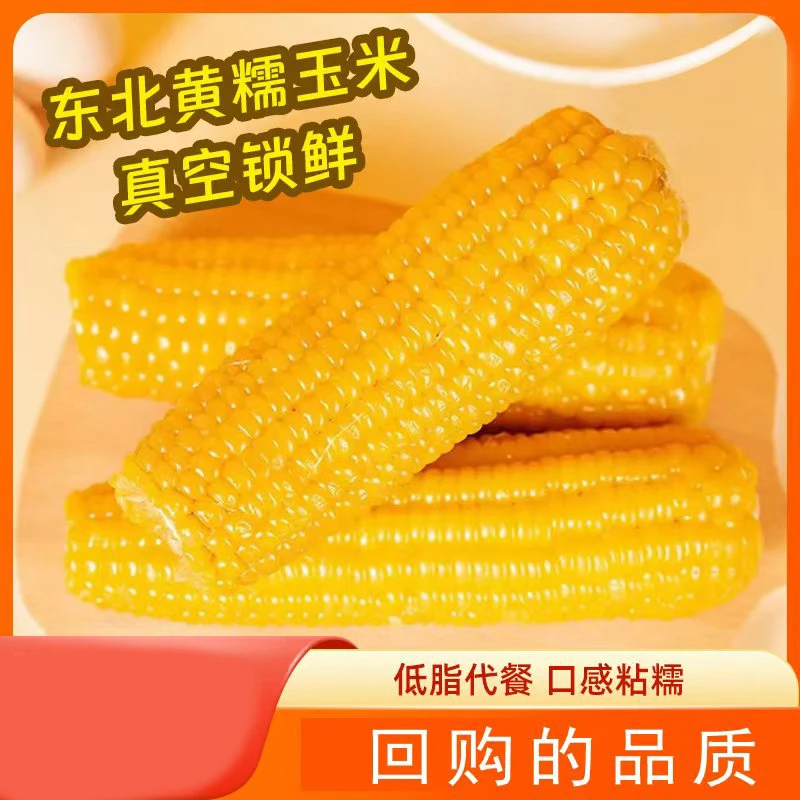 起初家园 2025年新黄糯玉米 真空锁鲜 五斤计量称重不论支