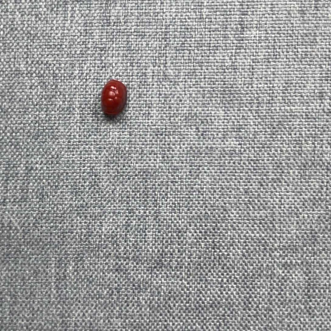 南红玛瑙颈饰合金小*贝