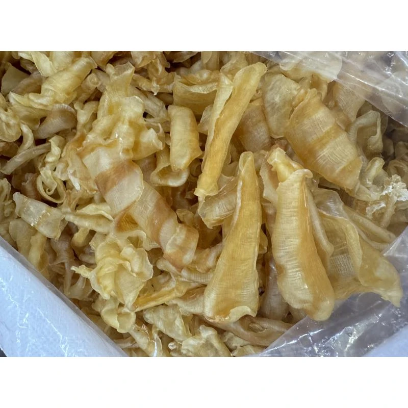 【前记精选】70-80头凤尾胶 250克-500克