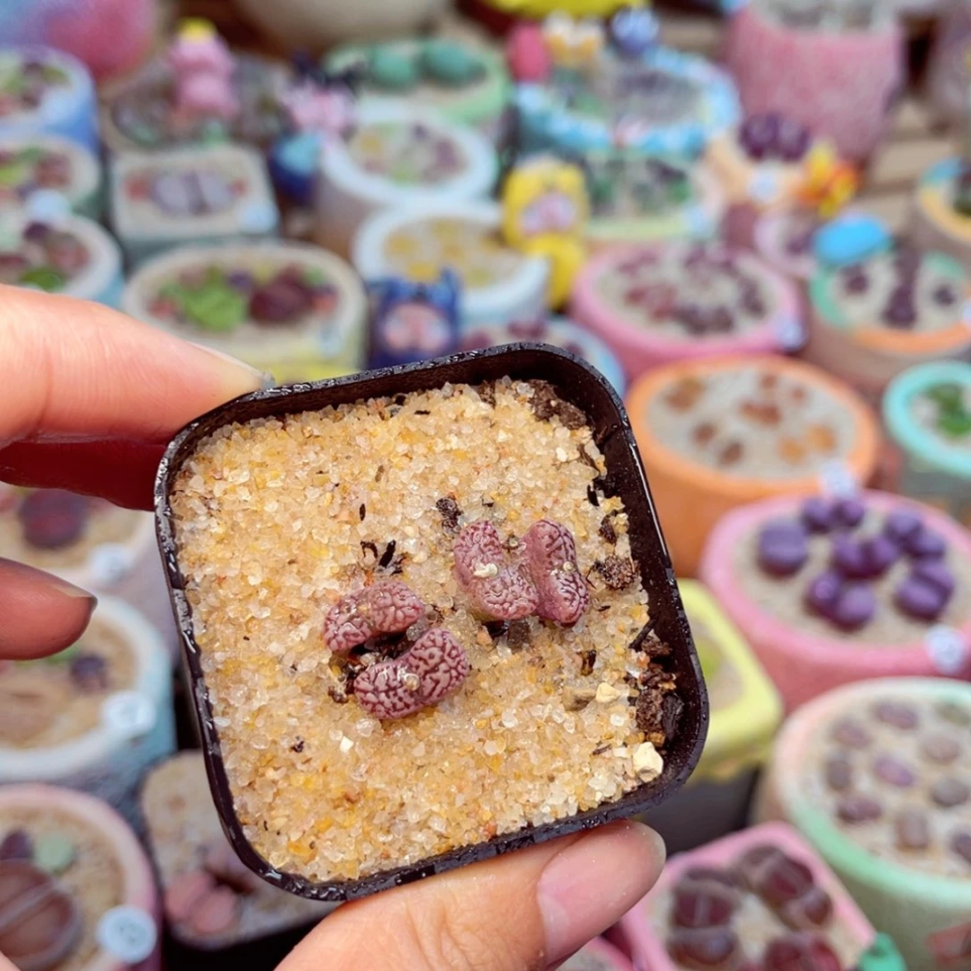 408。88888888888888