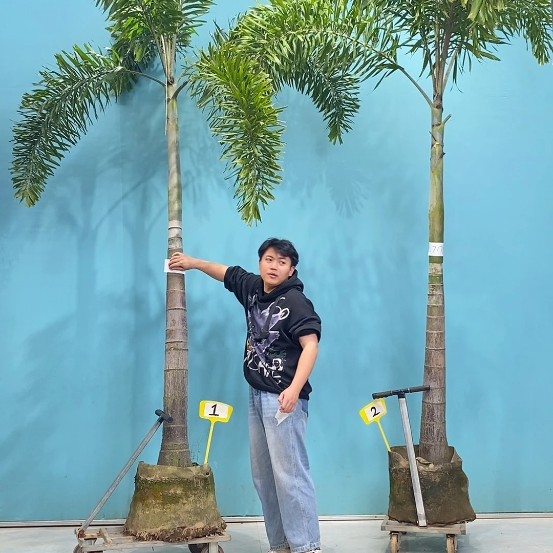 完全开放8888888888