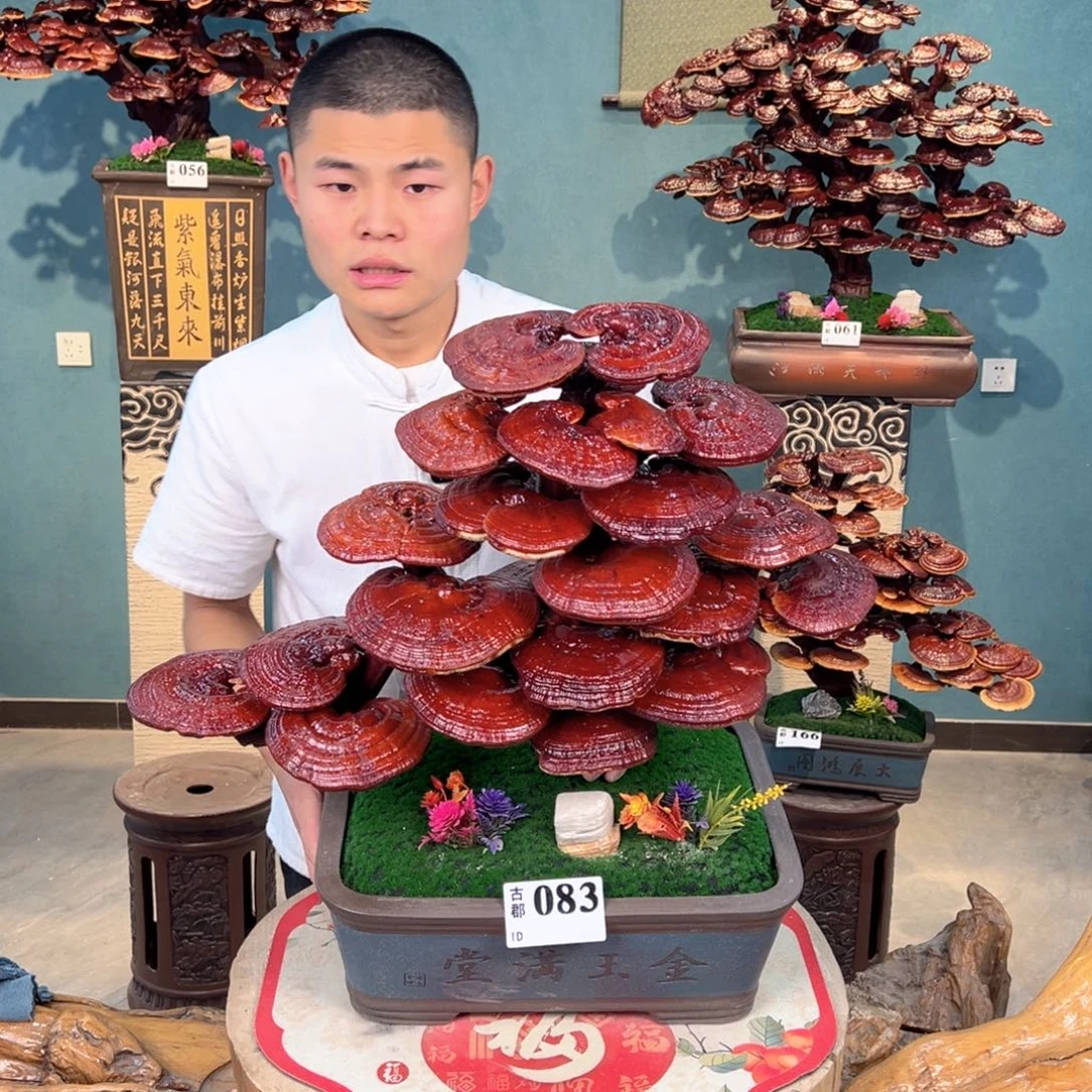 无花朵88888888888