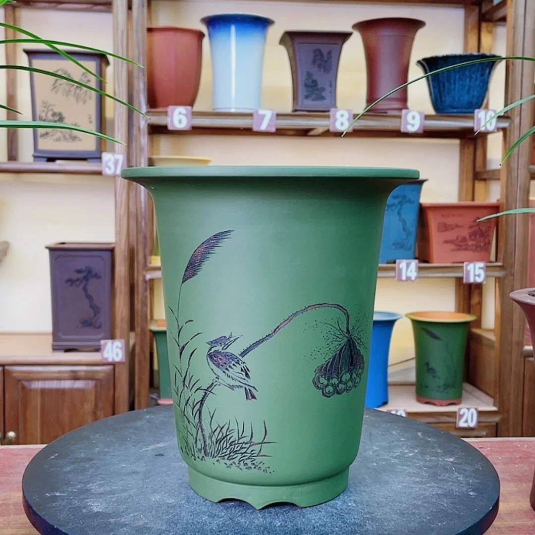 【闪购商品】紫砂花盆?****巍兰花428855366855555555