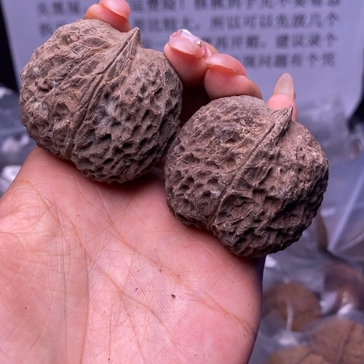 核桃云南野生铁核桃107号42mm