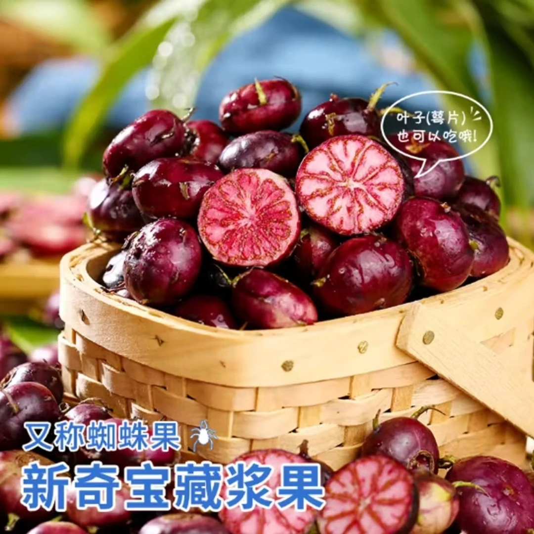 （空运）正宗云南大果新鲜采摘稀有高原红果参蜘蛛果当季水果