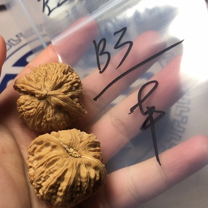 文玩核桃吊坠11111