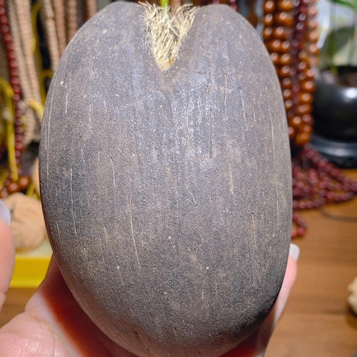 塞舌尔海椰子把件