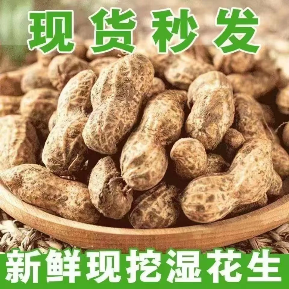 【顺丰包邮】新鲜现挖小白沙带壳湿花生颗粒饱满可生吃水煮农家自种