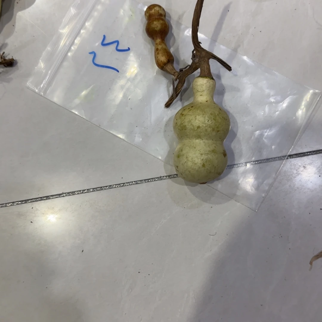 回***路青皮不包成青皮不包成