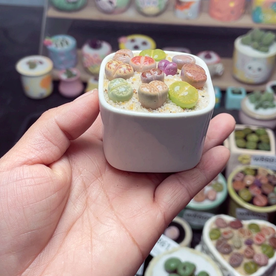 w8623 带盆土发货-零下地区拍保温箱