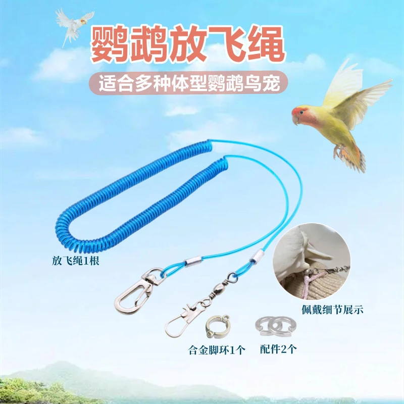 鹦鹉放飞防咬外出遛鸟绳八哥乌鸦玄凤鹦鹉虎皮牡丹训练脚链脚环