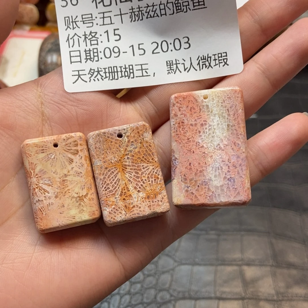 五***鱼未镶嵌硅化珊瑚（珊瑚玉）珠宝半成品36